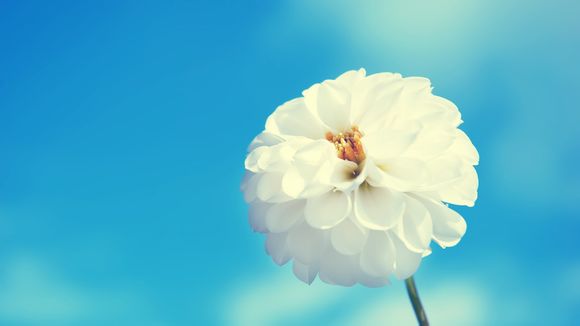 维斯凯机械表怎么调