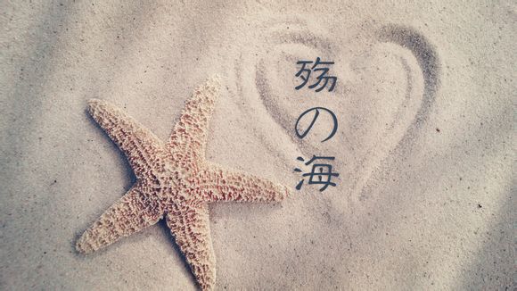 哪里高价收名表