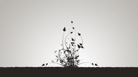 海鸥手表为什么老不动