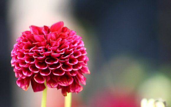 为什么手表都比较贵